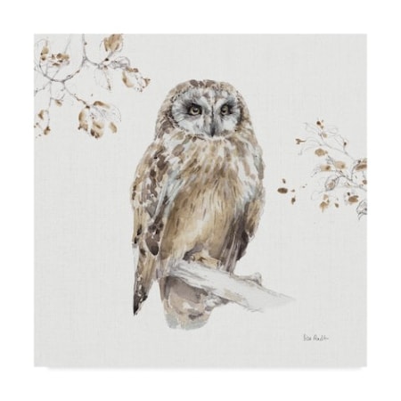 Lisa Audit 'Woodland Walk Viii Owl' Canvas Art,14x14